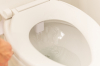 Image for Push Button Bidet Attachment With Dual Nozzles
