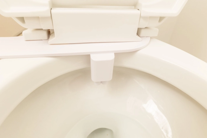 Product Image Enlarged