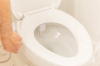 Image for Push Button Bidet Attachment With Dual Nozzles