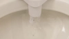 Image for Bidet Attachment with Dual Nozzles