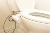 Image for Bidet Attachment with Nozzle Angle Adjuster