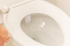 Image for Push Button Bidet Attachment With Dual Nozzles