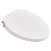 Image for AquaWash 1.0 Non-Electric SpaLet Bidet Seat with Manual Operation