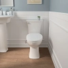Image for AquaWash 1.0 Non-Electric SpaLet Bidet Seat with Manual Operation