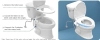 Image for BIGCOW Ultra-Slim Bidet Attachment for Toilet - Dual Nozzle (Frontal & Rear Wash) with Adjustable Cold Water Pressure and Stainless Steel Inlet - Hygienic Solution for Fresh Cleanliness