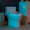 Modal thumbnail for product