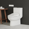 Image for Horizon Bidet Seat