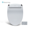 Image for Blooming Remote control type - NB-R1000