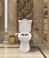Image for Boss Bidet Revolution - Cool Water