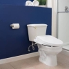 Image for Brondell Swash BL67 Bidet Toilet Seat