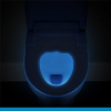 Image for Brondell Swash DS725 Bidet Toilet Seat