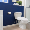 Image for Brondell Swash DR801 Bidet Toilet Seat