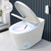 Image for CleanSense 1500R