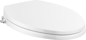 Refresh Manual Elongated Bidet Seat in White