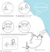 Image for bidet, Hot and Cold Water Non-electric Bidet Attachment for Toilet, Self Cleaning and Dual Nozzle for Women and Rear Wash, Push Button Switch for Easy Using (White）