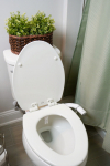 Image for GenieFresh Bidet Attachment (DECOR)