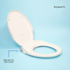 Modal thumbnail for product