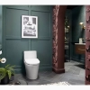 Image for PureWash E930 Elongated bidet toilet seat with remote control