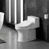 Image for PureWash® E525 Elongated bidet toilet seat
