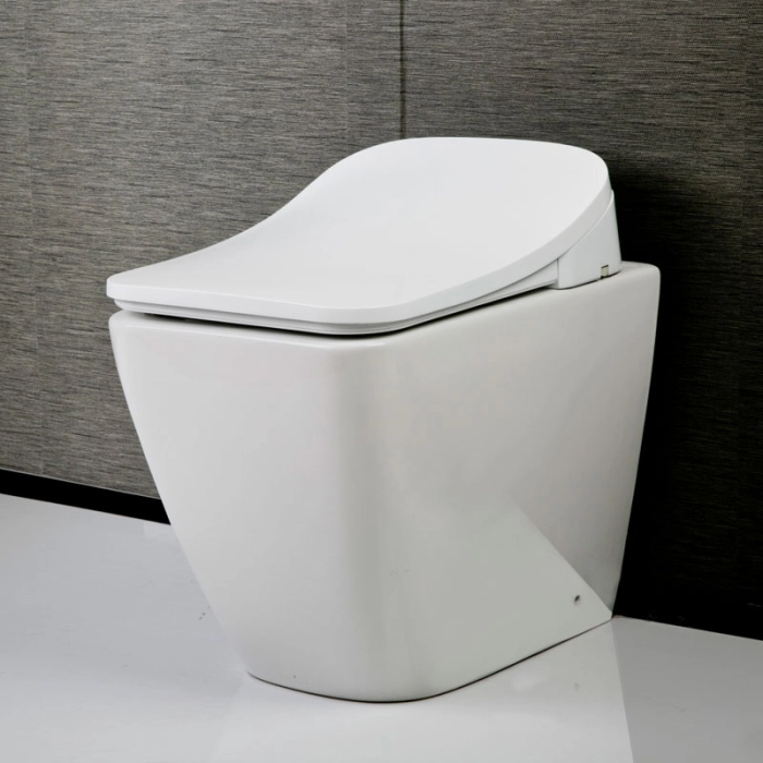 Product Image Enlarged