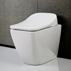 Electric Bidet Toilet Seat With Remote, Elongate