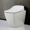 Image for Electric Bidet Toilet Seat With Remote, Elongate