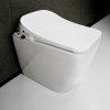 Image for Electric Bidet Toilet Seat With Remote, Elongate