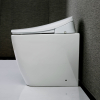Image for Electric Bidet Toilet Seat With Remote, Elongate