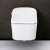 Image for Electric Bidet Toilet Seat With Remote, Elongate