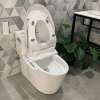 Image for Japan Style Smart Toilet Multi-Function Bathroom Electronic Toilet Seat MA-AK47