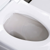 Image for Electric Bidet Toilet Seat With Remote, Elongate