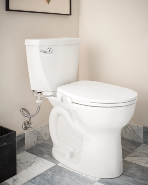 Moen 2-series Non-electronic Bidet Seat