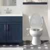 Image for SAMODRA Minimalist Bidet