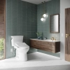 Image for WASHLET A2 - Elongated