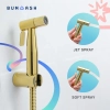 Image for Bumwash Pro Spray