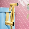 Image for Bumwash Pro Spray