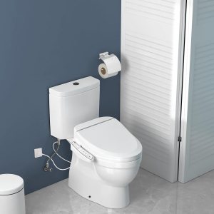 ZMJH ZMA102 Bidet Toilet Seat