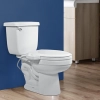 Image for ZMJH S001-B1 Bidet Toilet Seat Non-Electric