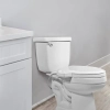 Image for ZMJH S001-B1 Bidet Toilet Seat Non-Electric